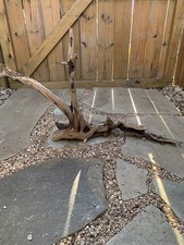 Natural Driftwood For Reptiles