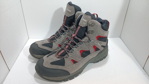 LL Bean Mens 11 M Med Trail Hiking Boots Dri Lex Brown Ankle Shoes | eBay