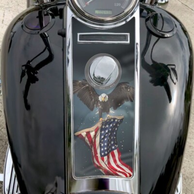 American Bald Eagle USA Flag Dash Insert Fits Harley Road King Dash Cons G1N