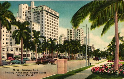Biscayne Blvd North Flagler St Miami Florida Vintage 1940s Postcard Woodie Car