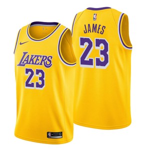 men's lebron lakers jersey