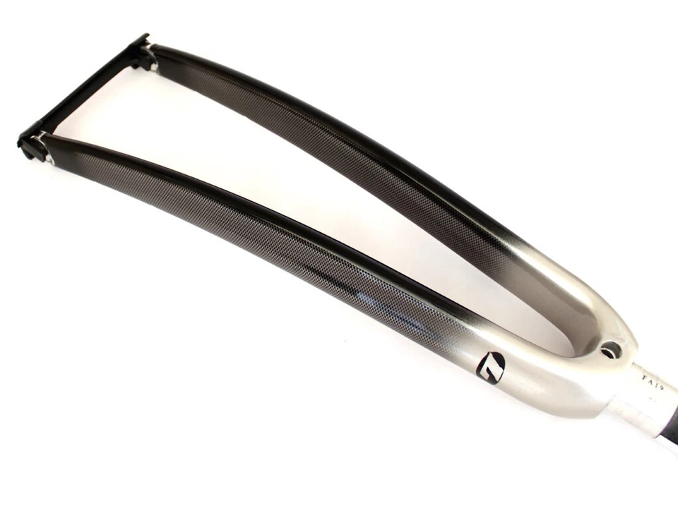 Bicicleta de carretera Litespeed Capella 2004 1-1/8" horquilla de carbono completa 700C 375 g Foto 2 de 4