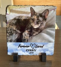 Sublimated Rock Slate Pet Memorial Plaque Personalized