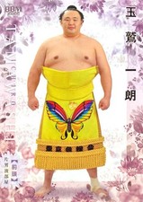 Top 10 Japanese Ichiro Cards to Collect 40