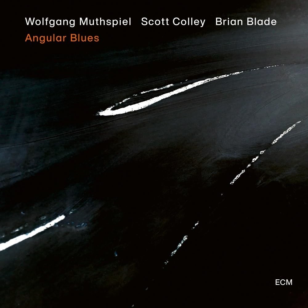 wolfgang moospeel Angular Blues Limited Edition SHM-CD From Japan CD 9tracks