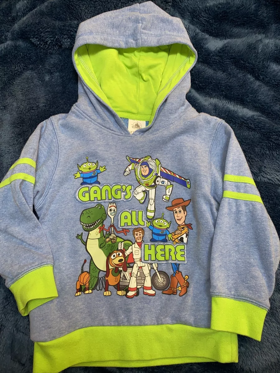 Woody and deals buzz hoodies