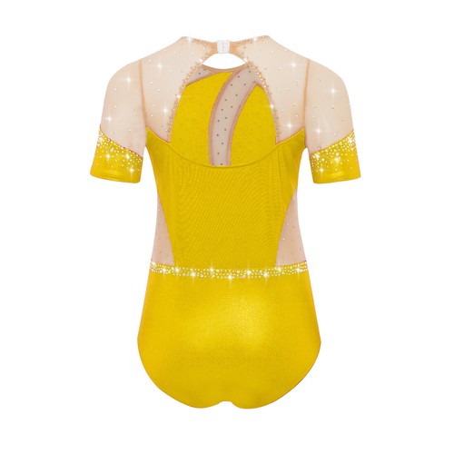 Kinder Mädchen Tanzkleidung Sportliche Bodysuit Rhythmisch Leotard Sheer Mesh - Bild 44 von 75