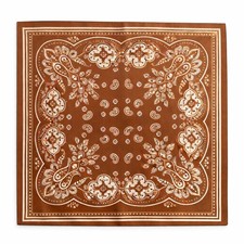 Caramel Brown Satin Paisley Scarf Bandana 26x26 Western Cowgirl Wild Rag