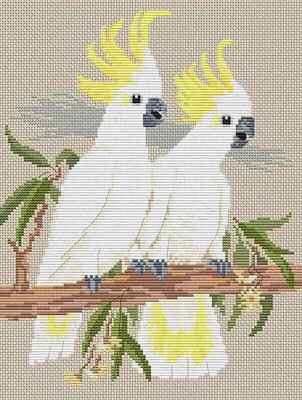 Sulphur Crested Cockatoos crosstitch by Maureen Maguire, optional aida & thread