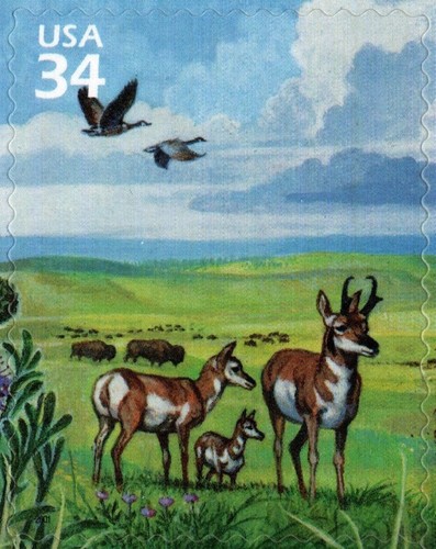 USA 2001 NATURE OF AMERICA, GREAT PLAINS PRAIRIE, 3rd SERIES, SCOTT 3506 MNH - Picture 2 of 13