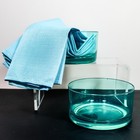 Teal Plastic Outdoor Entertain Dishes/Plates/Cups - 13 Piece Set plus 4 Napkins — photo 5