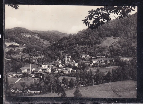Moline Panorama Postcard AD1493