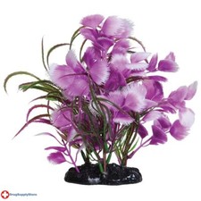 RA Fuscia Moon - 7.5"