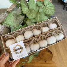 NEW Thanksgiving Fall Garland White Wool Felt Pumpkin 6 Ft Farmhouse Country