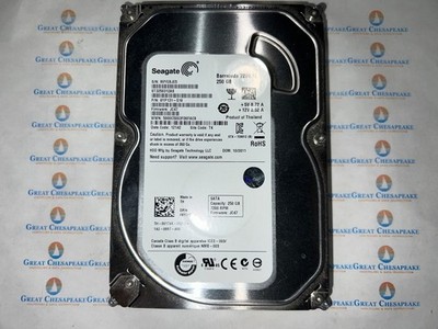 Seagate Barracuda ST3250312AS 250GB SATA 7200 RPM 3.5'' Hard Drive TESTED!
