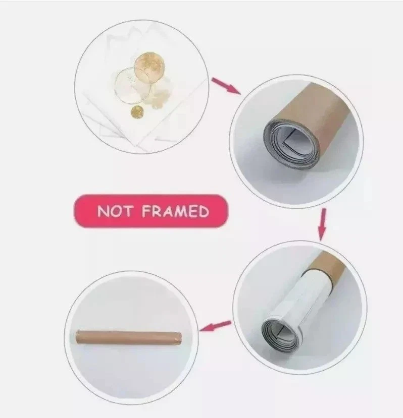 AFI Spring 2026 North American Tour Poster