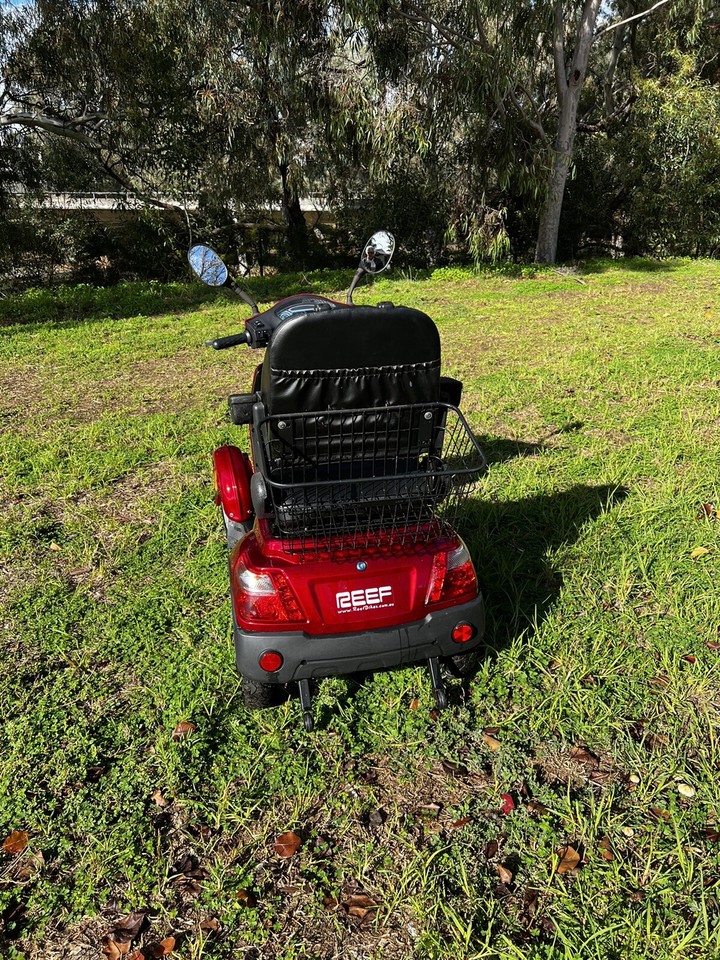 Reef Goliath Mobility Scooter Powerful 4 Wheeler eBay