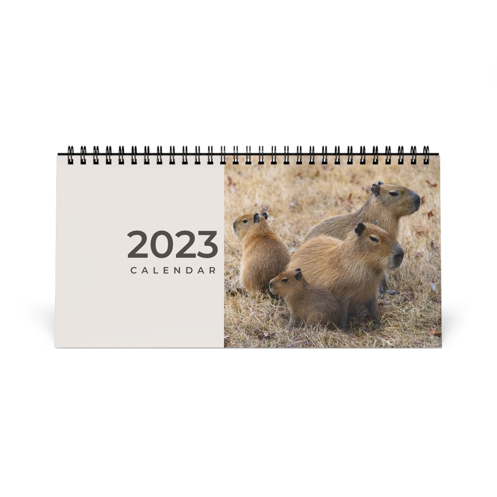 Capybara 23 Standing Desk Calendar Cute Funny Animal Lover Christmas Gift Ebay