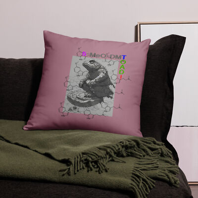 ''5-MeO-DMToad'' Pillow Bufo Incilius Alvarius Toad Psychedelic Shamanic Magic
