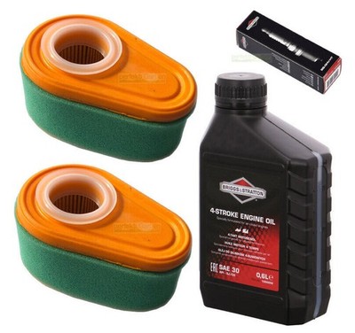 Spark plug + filter + lawn mower oil for Briggs & Stratton B&S DOV 700 725...