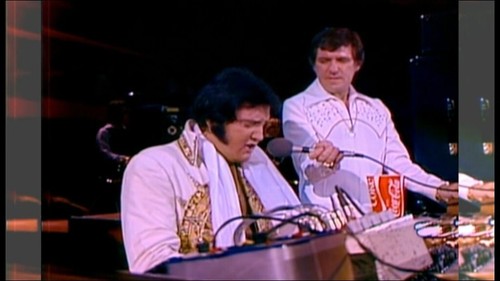 ELVIS PRESLEY - Ultimate 1977. (concerts) DVDs x4 - Afbeelding 11 van 18