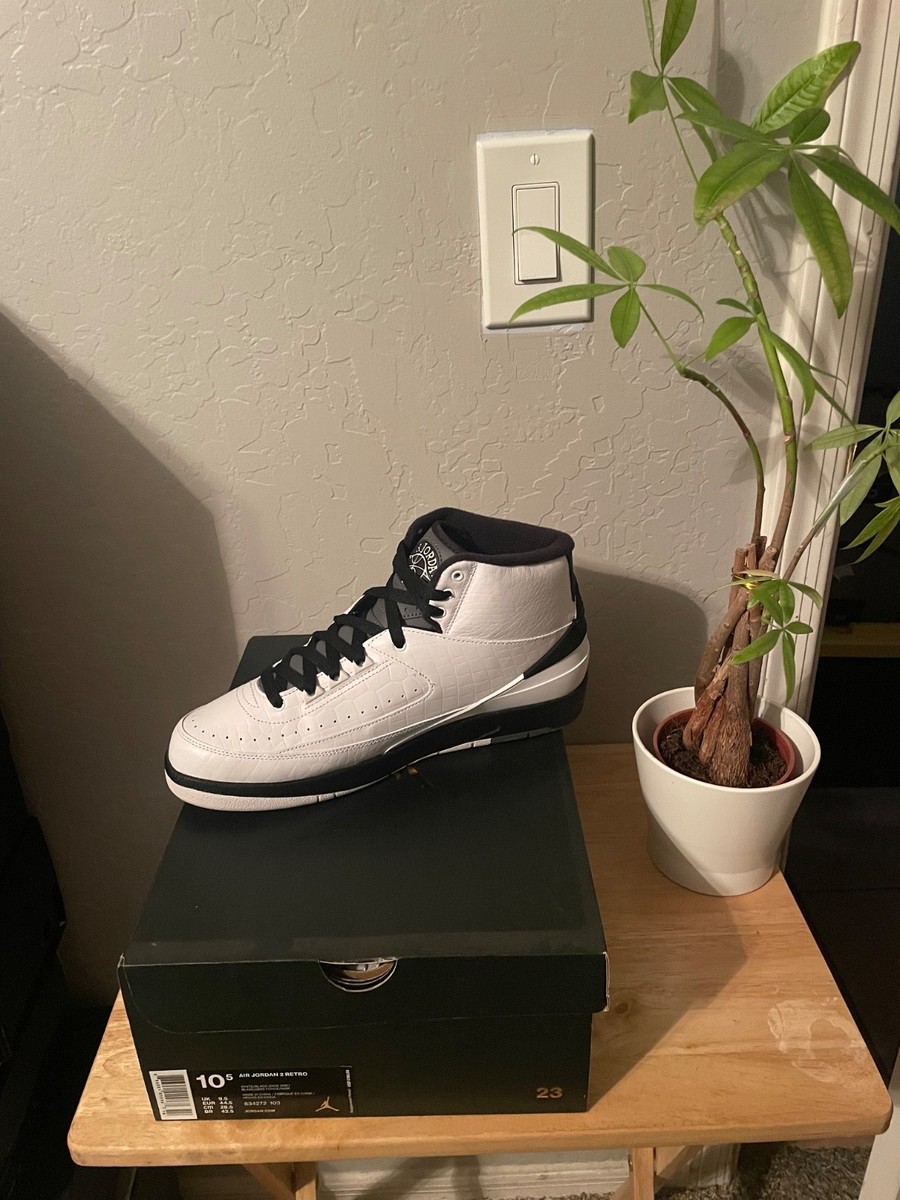 Size 10.5 - Air Jordan 2 Retro Wing It for sale online | eBay