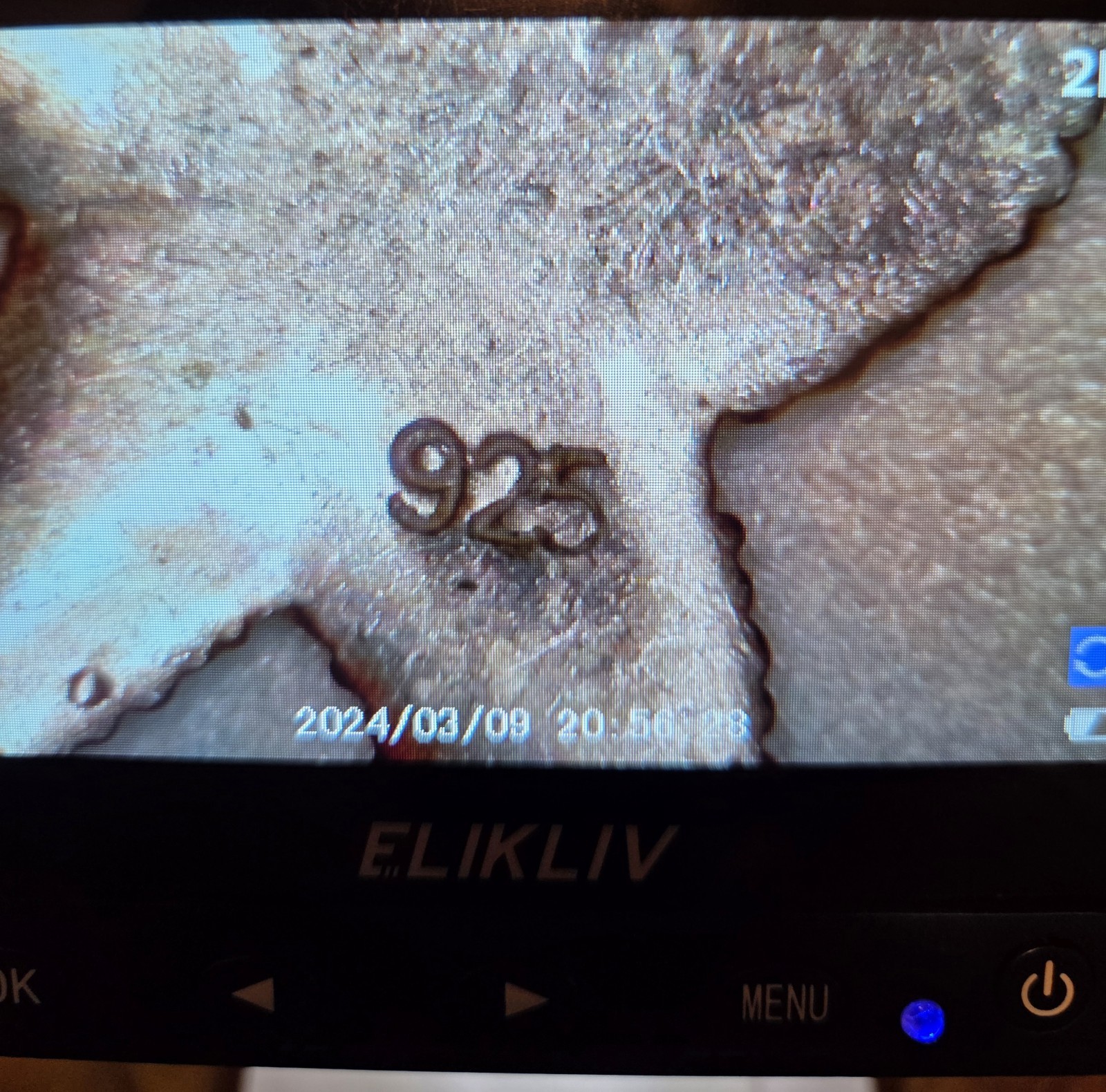 Vintage Solid Sterling Silver Starfish Dangle Ear… - image 4