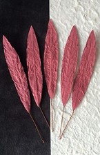 10 Bamboo Leaves leaf Burgundy Floral Design wedding invitations Scrapbooking