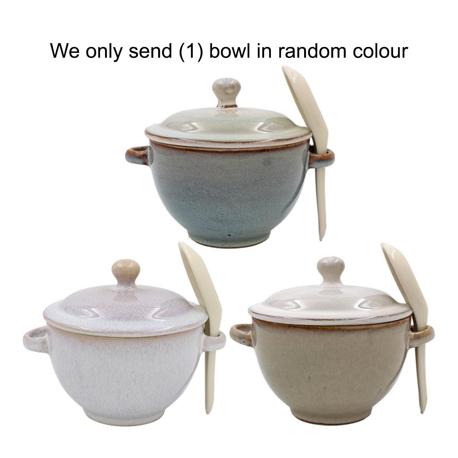 Reactive Glaze Soup Bowl with Lid & Spoon Gradient Ceramic Stoneware Food Dish