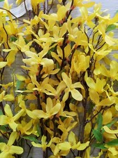 5 Pcs Artificial Forsythia Flower Branches Long Graduated Stems Silk Faux Yellow