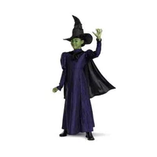 NEW Wicked Elphaba Deluxe Halloween Costume Girls Small 4-6X Dress Cape Hat