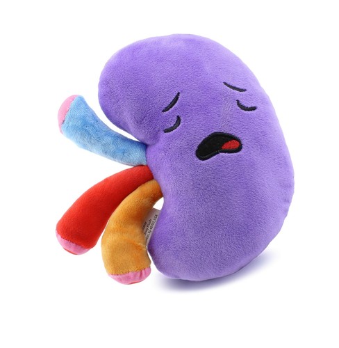 organ plush toys