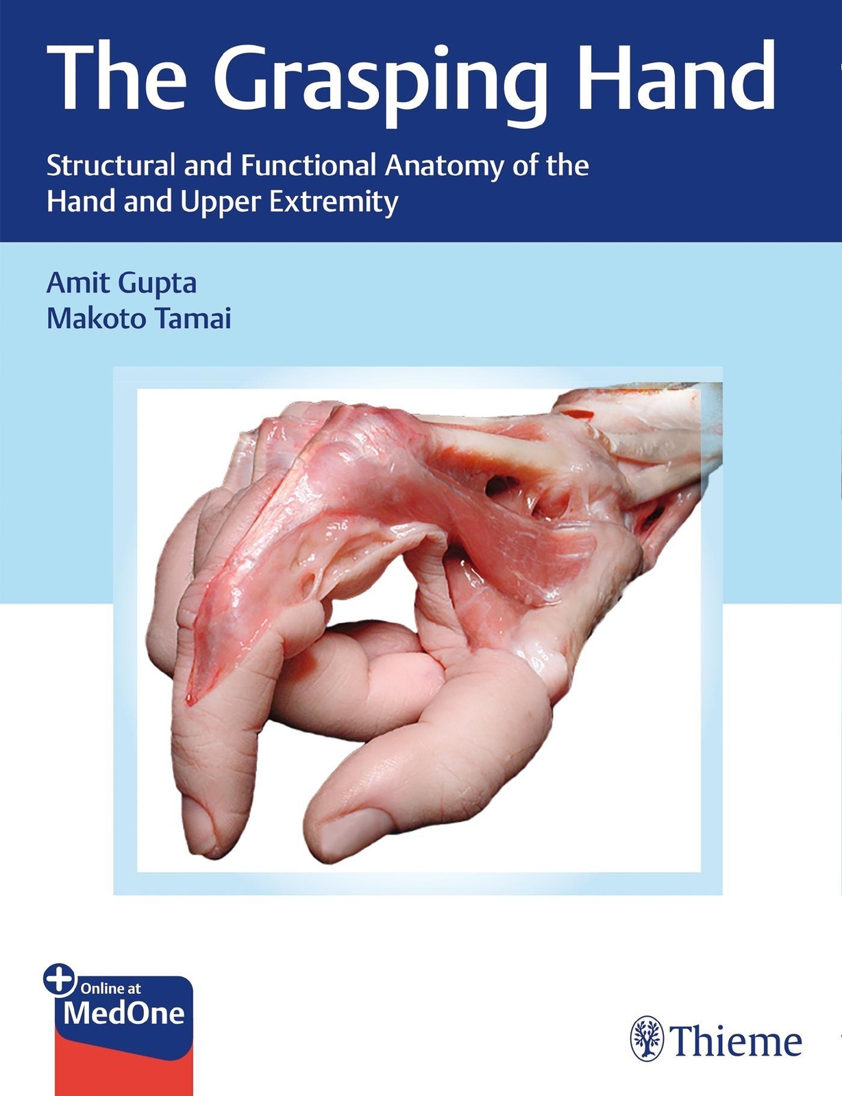 Thumbnail - The Grasping Hand Amit Gupta