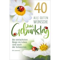 40. Geburtstag GlüCkwunschkarte Mit Briefumschlag MarienkäFer Und Margerite