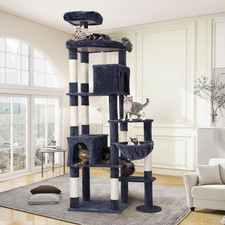 Tiragraffi per Gatti XXL, Albero Gatti Grandi Alto 213 Cm Con 2 Grotte, Grande P