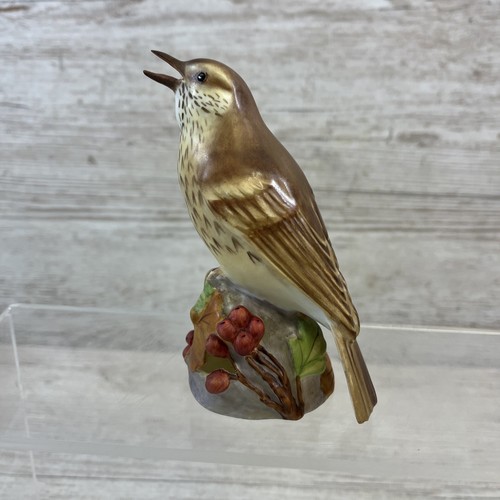 Royal Worcester Thrush Bird Figurine RW3234 Good Condition - Bild 6 von 12