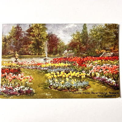 #ad Postcard London England Kew Gardens Tulips from Palm House Terrace $5.99