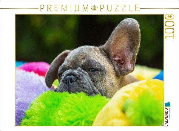 Calvendo Puzzle Tired Little Puppy | 1000 Pieces, Finished Size 25.2 × 18.9 In (-image