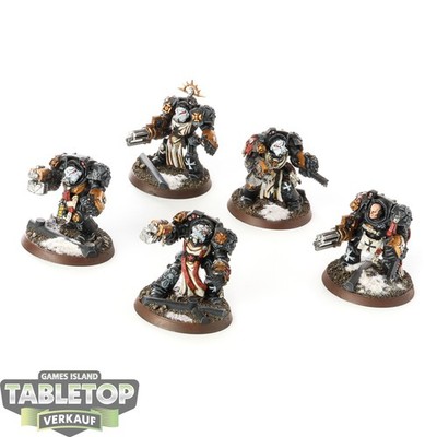 Black Templars - 5x Terminator Squad (Klassisch) - bemalt