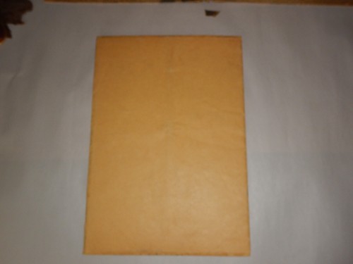1924 Minnesota Gophers vs Illinois Memorial Stadium dedication football Program - Picture 13 of 13
