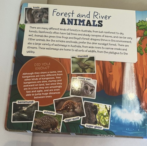 Thomas And Friends- Big Book Of Australian Animals. Board Book, Colour Photos . - Picture 10 of 14