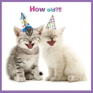 Kittens Birthday Card How Old Laugh Yourself Silly Greeting Card Ebay Kittens Birthday Card How Old Laugh Yourself Silly Greeting Card Ebay