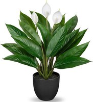 KüNstliche Calathea Pflanze 43Cm GrüN Kunstpflanze Deko Topf Verbessert