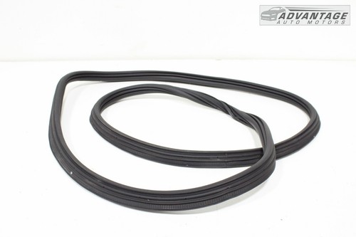 2020-2024 FORD ESCAPE REAR TRUNK HATCH TAILGATE WEATHERSTRIP SEAL OEM
