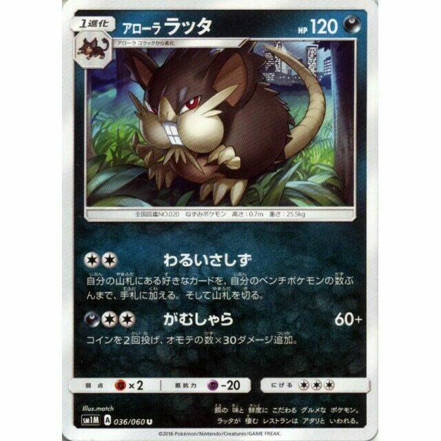 036-060-SM1M-B - Pokemon Card - Japanese - Alolan Raticate - U