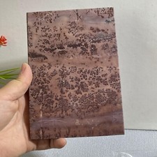 427g Raro Chino Formación Natural Tinta Pintura Paisaje Piedra Mineral Espécimen