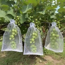 Garden Netting Bags - 50Pcs Fruit Protection for Grapes - Pest Control Mesh