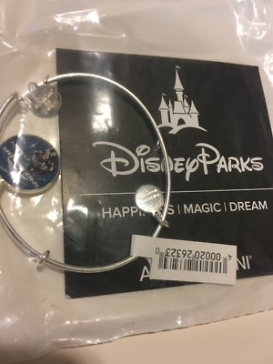 NWT Disney Parks D23 Expo Space Mountain Alex And Ani Silver