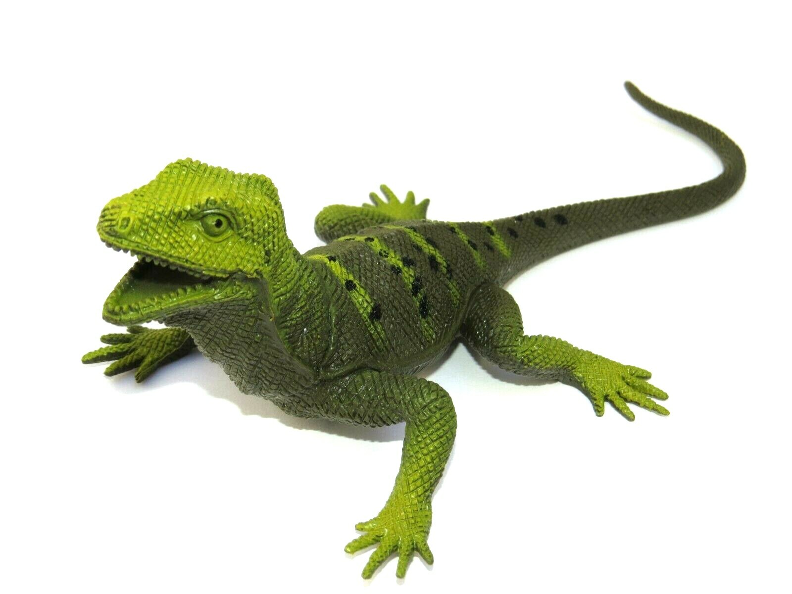 lizard toy online