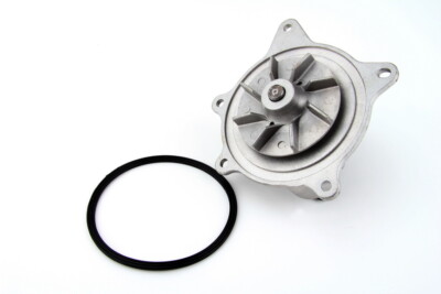 THERMOTEC Wasserpumpe D1Y006TT für CHRYSLER VOYAGER IV 3.3/3.8 02.00-12.08